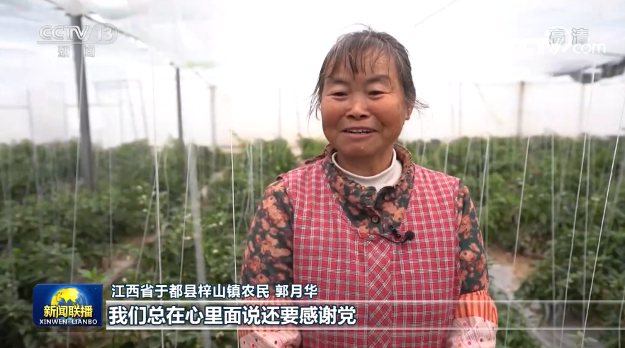 红卫富硒大米