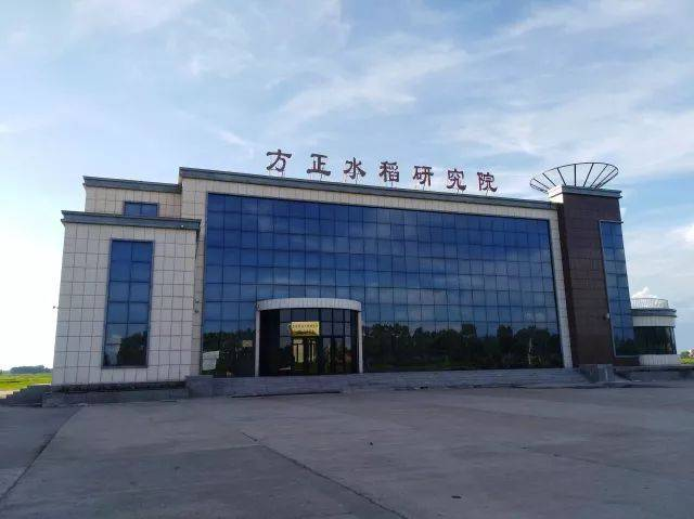 特产富硒大米