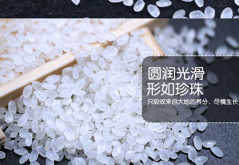 富硒大米采访