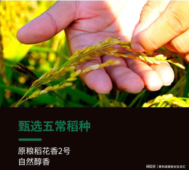 量子富硒大米