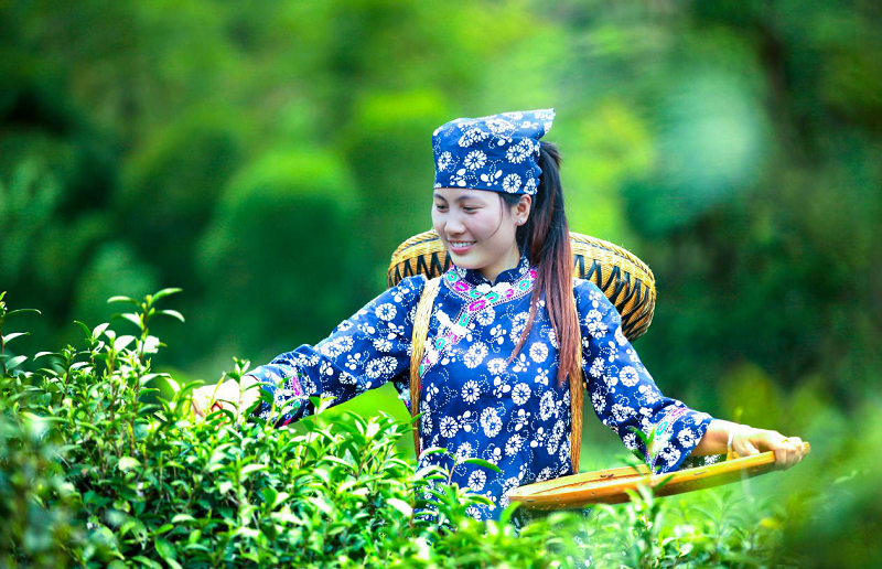 桑植富硒大米