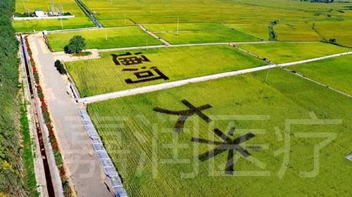 生平富硒大米
