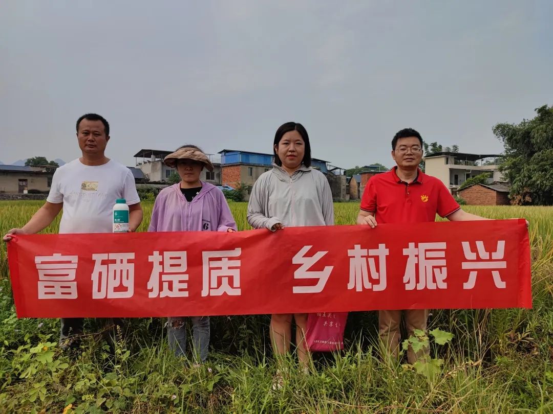 富硒大米范围