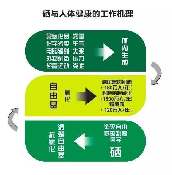 富硒大米有味