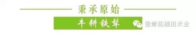 富硒大米有味