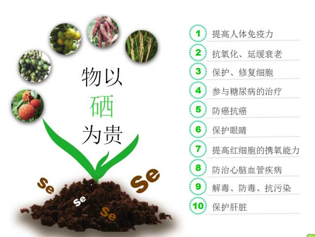 富硒大米有味