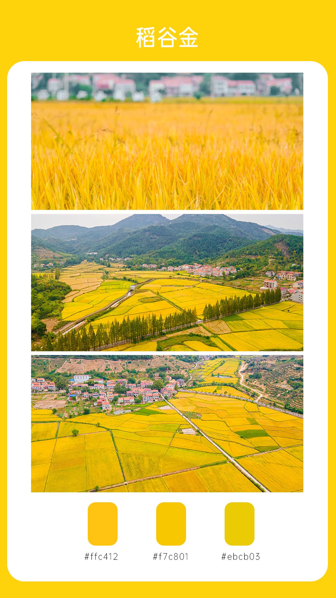 富硒大米湖北