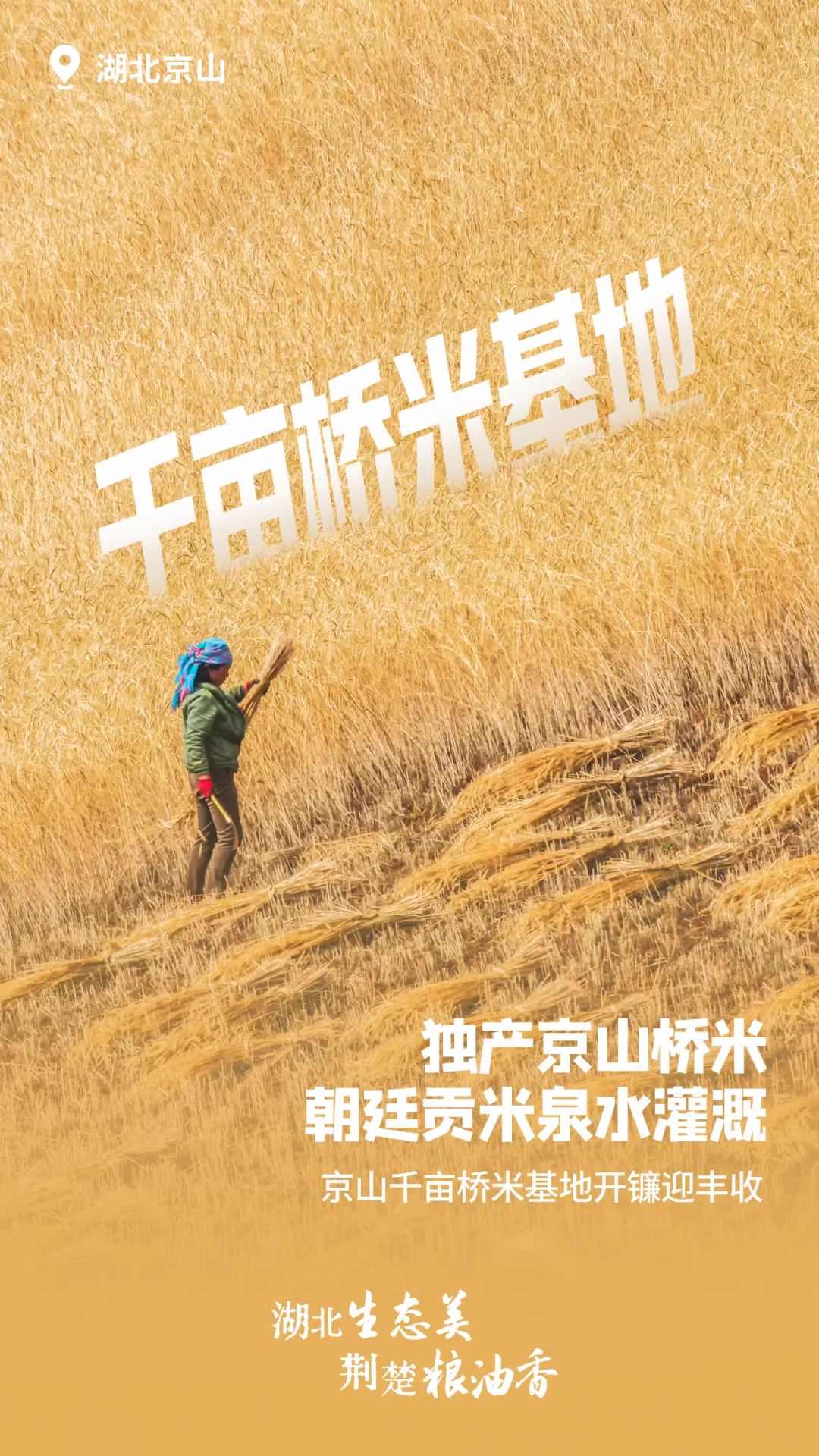 富硒大米湖北