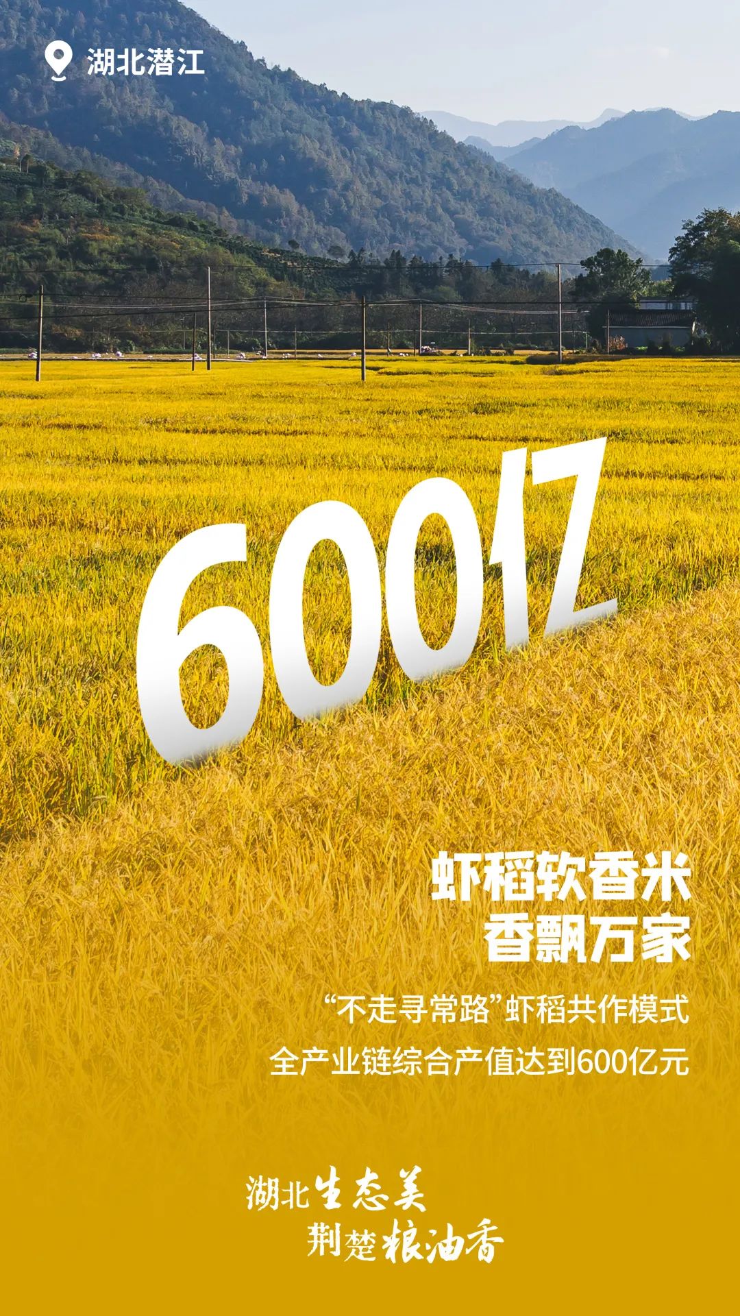 富硒大米湖北