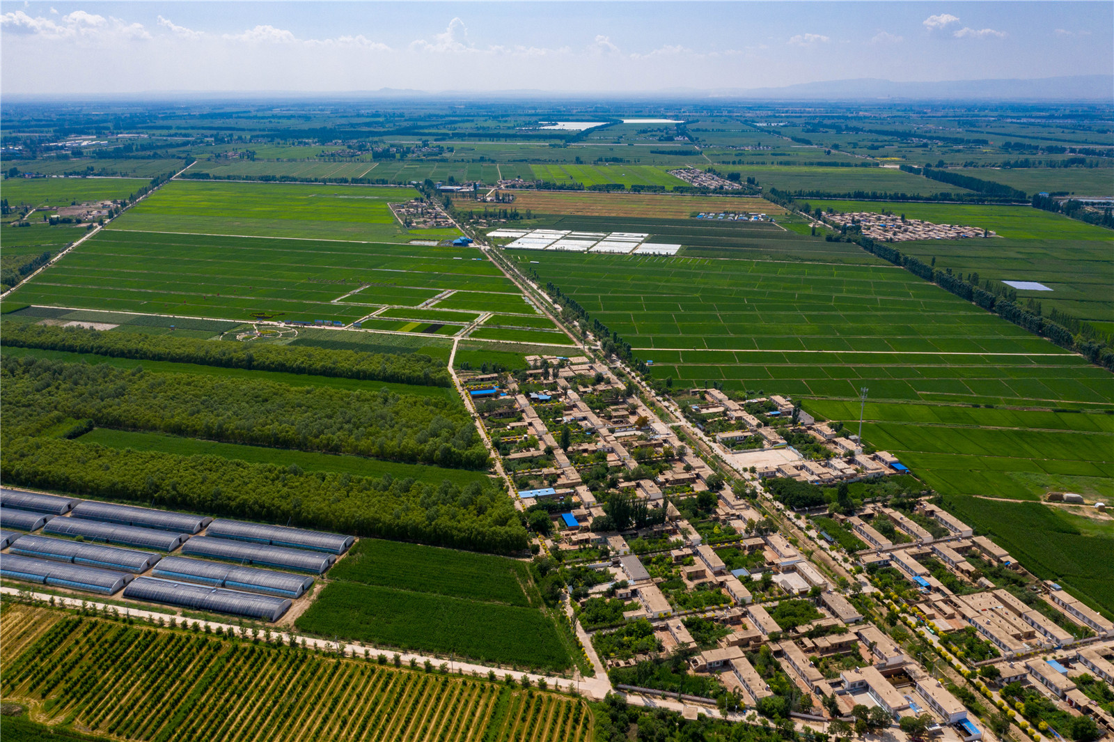 DJI_0722.jpg