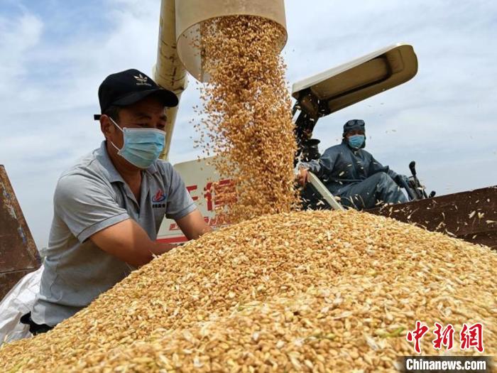 渠星富硒大米