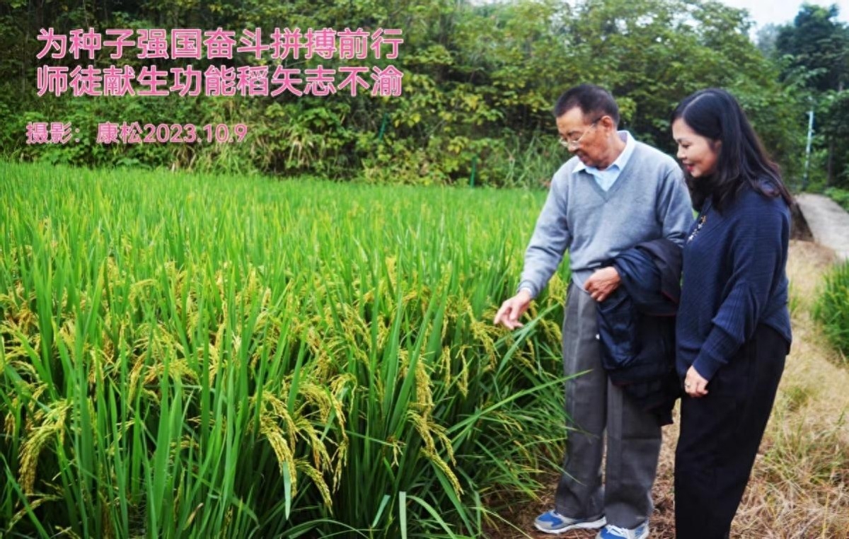 富硒大米面世