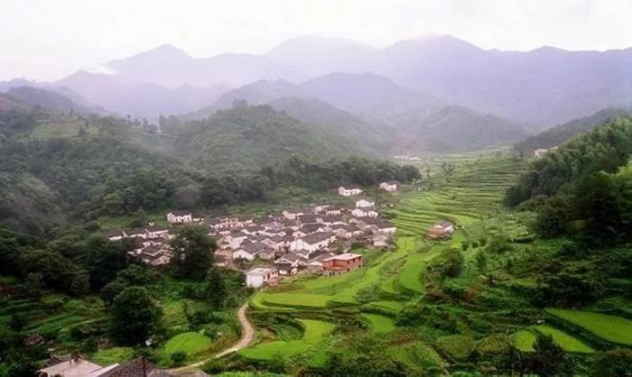国沃富硒大米