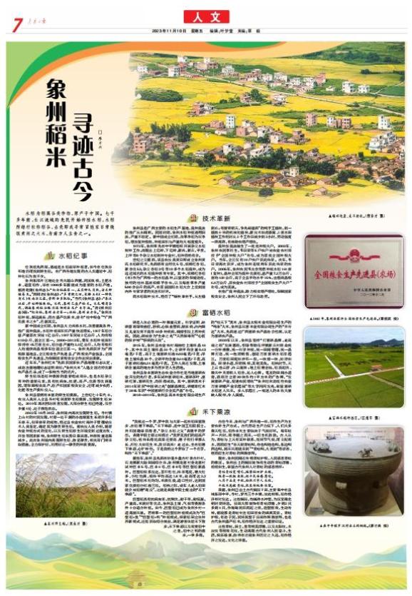 蛙雨富硒大米