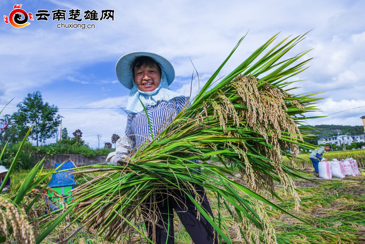 钱缘富硒大米