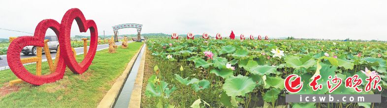天禹富硒大米