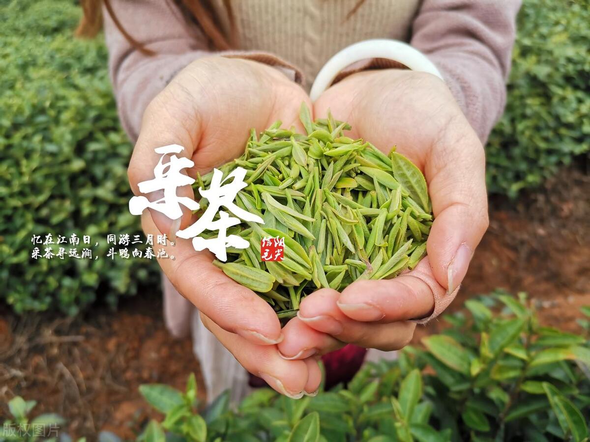 沙湖大米富硒