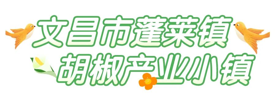 晴兰富硒大米