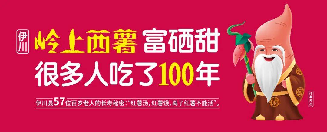 宁阳富硒地瓜