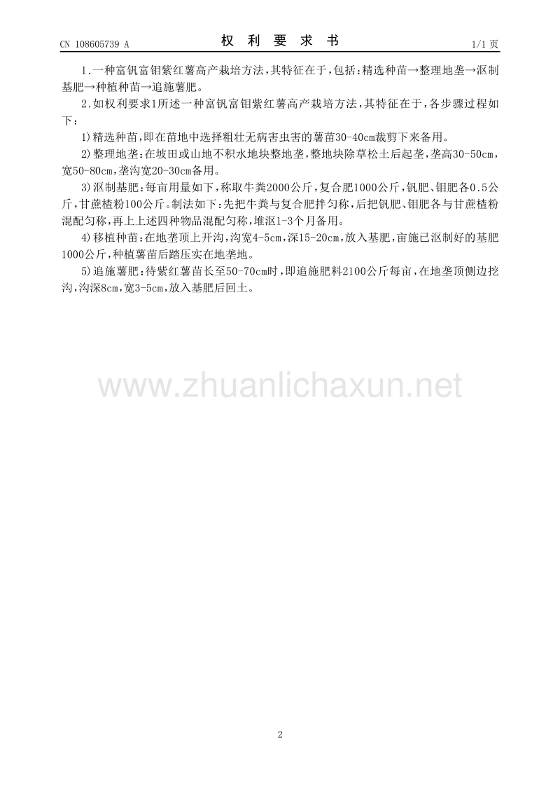 富硒地瓜切开