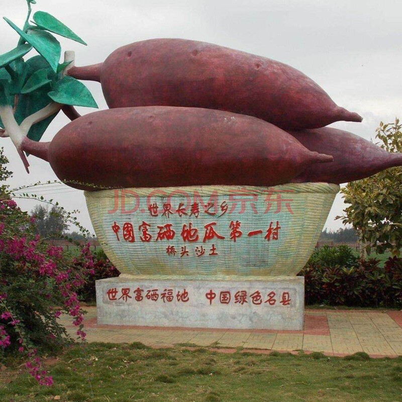 富硒桥头地瓜