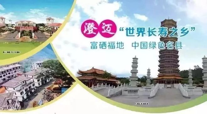 富硒地瓜新鲜