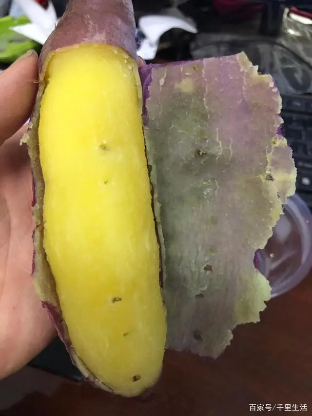 桥头地瓜富硒