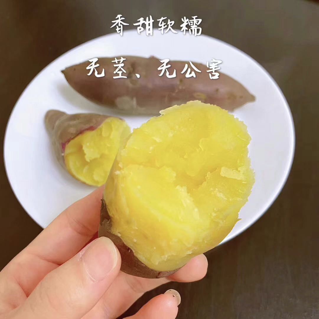 富硒板栗地瓜