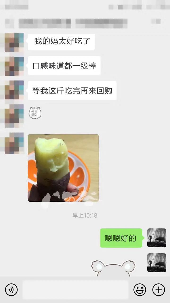 富硒板栗地瓜