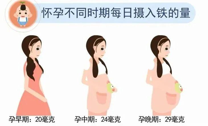 孕期需要补铁吗