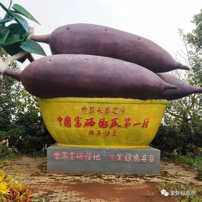 河南富硒地瓜