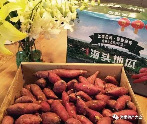 海南常见的地瓜品牌介绍，你都吃过哪些？