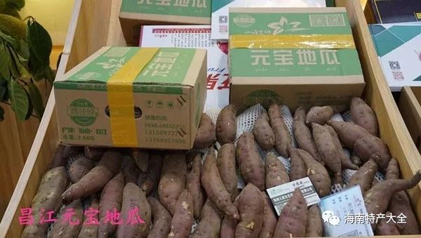 海南常见的地瓜品牌介绍，你都吃过哪些？