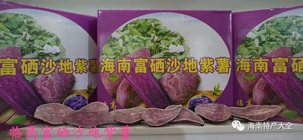 海南常见的地瓜品牌介绍，你都吃过哪些？