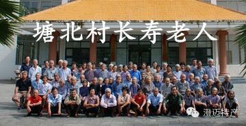 富硒地瓜叶子