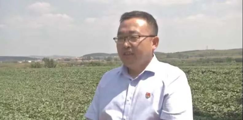 漳州富硒地瓜