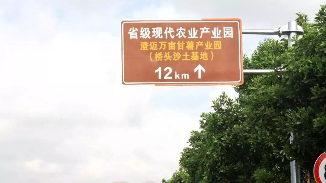富硒地瓜宣传