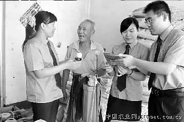 黄金娃娃菜能长多大