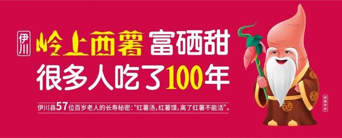 莒南富硒地瓜