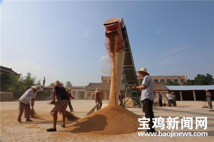 陕西富硒面粉
