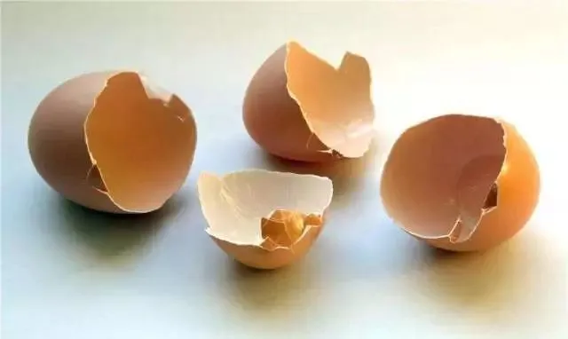 鸡蛋壳补钙吗