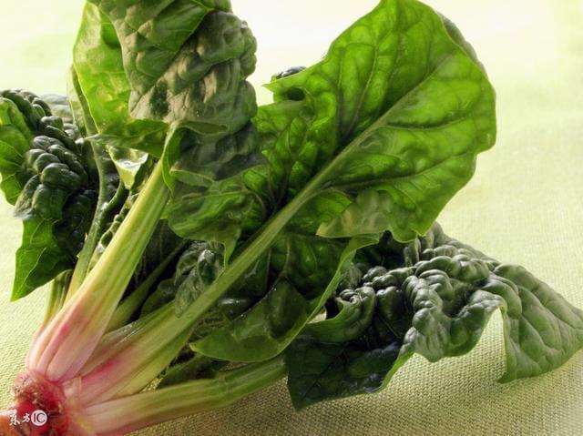 菠菜能补铁吗