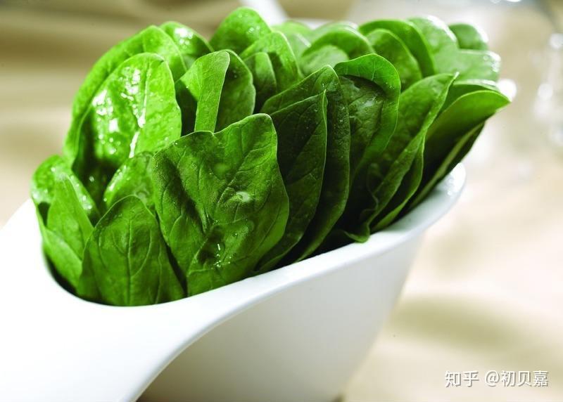 菠菜能补铁吗