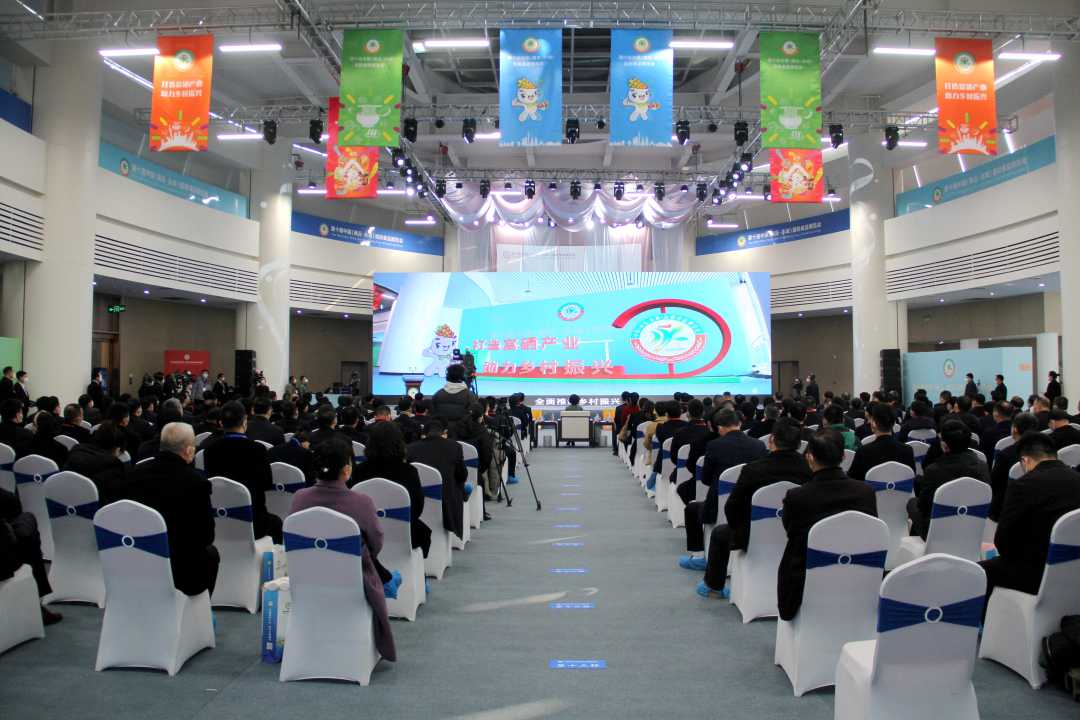 12月7日，第十届中国（商丘·永城）面粉食品博览会开幕现场。孙海峰  摄
