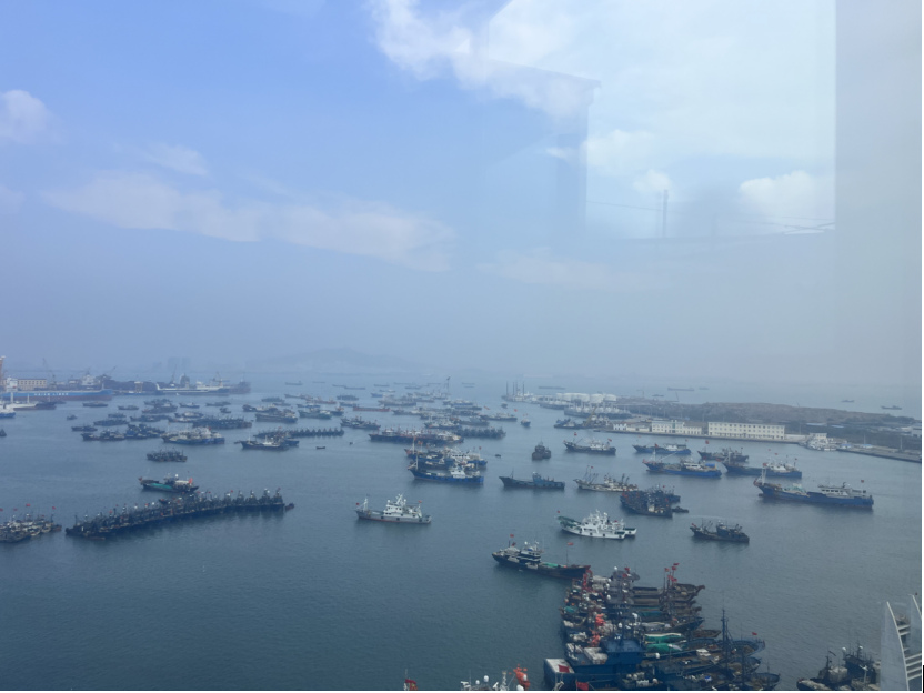 核桃富硒面粉