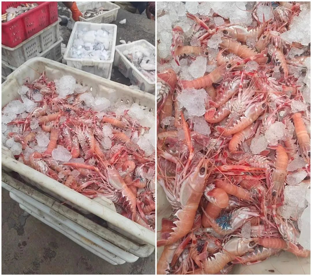 核桃富硒面粉