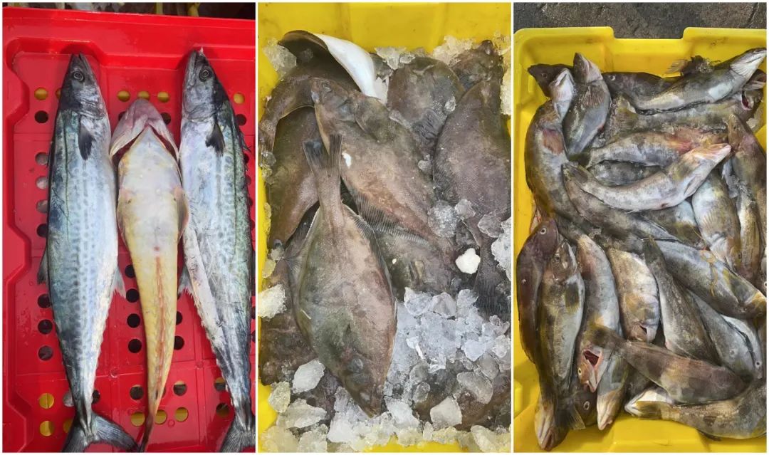 核桃富硒面粉