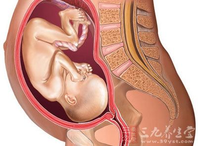 孕晚期需要补钙吗（孕晚期补钙需要吃维D吗）-硒宝网