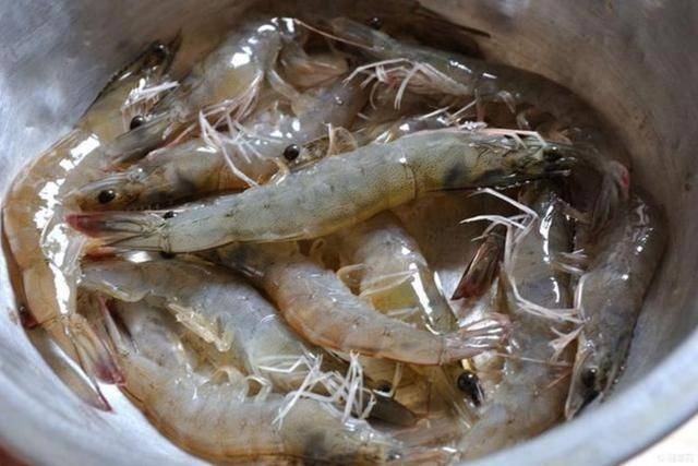 河虾补钙吗