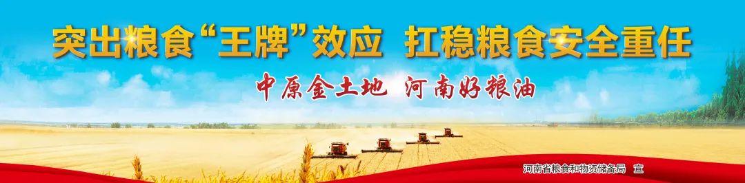 陕北富硒面粉